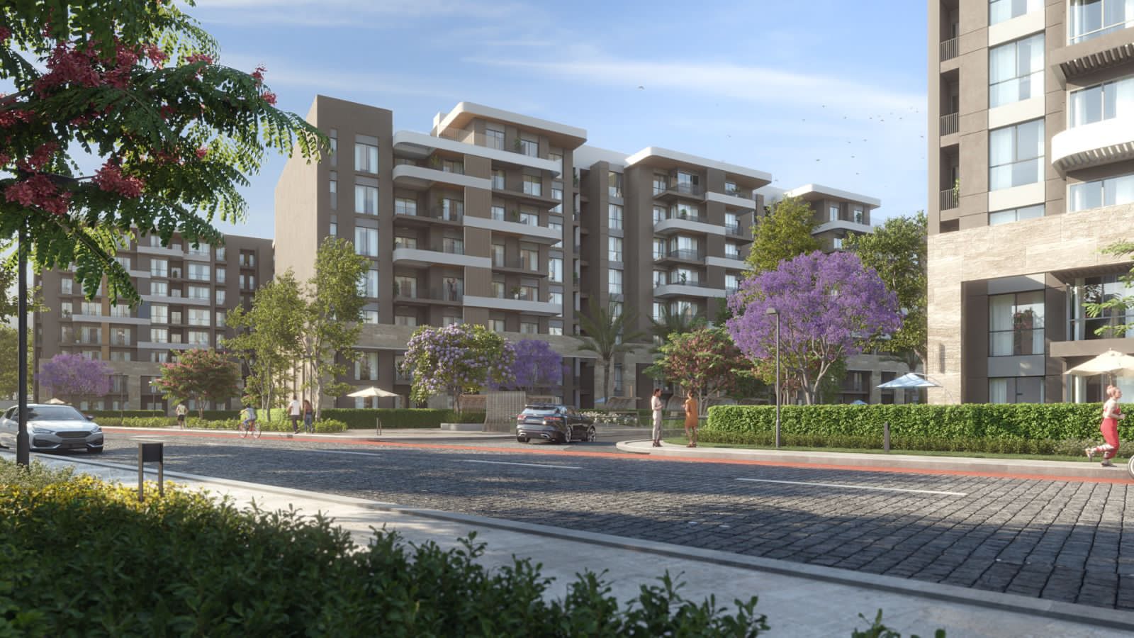 WhatsApp Image 2024-11-24 at 1.17.44 PM (2)